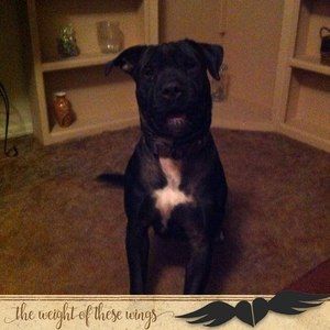 Meet your Posher, Nakima